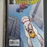 The Amazing Spider-Man #559 (Brand New Day)